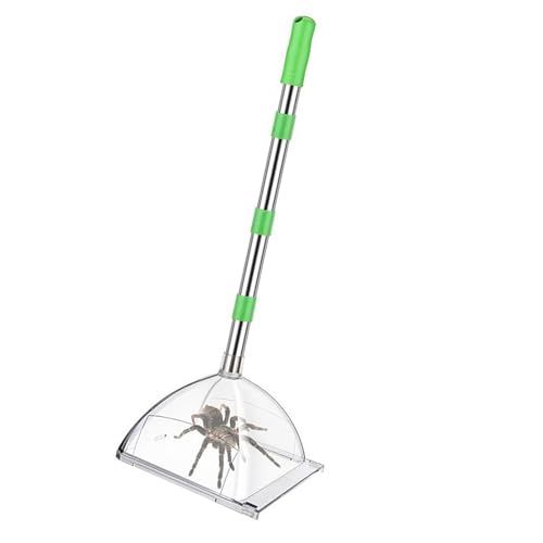 Einstellbares 32 Zoll Spinnen Fänger Tool Mit Sicherem Freisetzungsmechanismus Für Wespen Und Spinnen Innenbereich Außenverwendung Nicht Harmulierter Insektenaufnahmen Und Release Gerät Einstellbares 32 Zoll Spinnen Fänger Tool Mit Sicherem Freisetzungsmechanismus Für Wespen Und Spinnen Innenbereich Außenverwendung Nicht Harmulierter Insektenaufnahmen Und Release Gerät von HGZHNAT