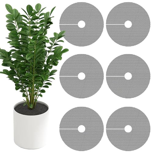 HGZHNAT Gartengitter Abdeckungen Für Blumentöpfe Anti Graben Design Polyethylen Pflanzenabschirm Mit Schnittoption Haustier Proof Blumentopf Liner HGZHNAT Gartengitter Abdeckungen Für Blumentöpfe Anti Graben Design Polyethylen Pflanzenabschirm Mit Schnittoption Haustier Proof Blumentopf Liner von HGZHNAT