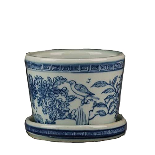 HH-CC 8 x 9,8 cm, antiker chinesischer Porzellanofen, Blaue und weiße Blumen, Vogelmuster, Blumentopf, Sukkulenten-Blumentopf von HH-CC