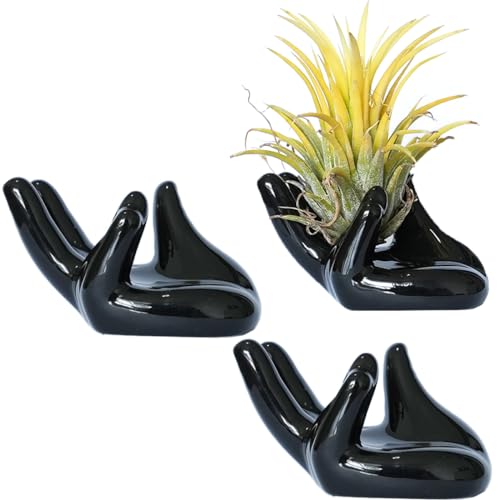 HH-Life 3 Stück Keramik Air Plant Ständer Halter, Luftpflanzen-Handhalter, Luftpflanzenständer Topf Hand Form Tillandsia Airplant Container Topf Tabletop Pflanze Display Hand Racks Schwarz von HH-LIFE