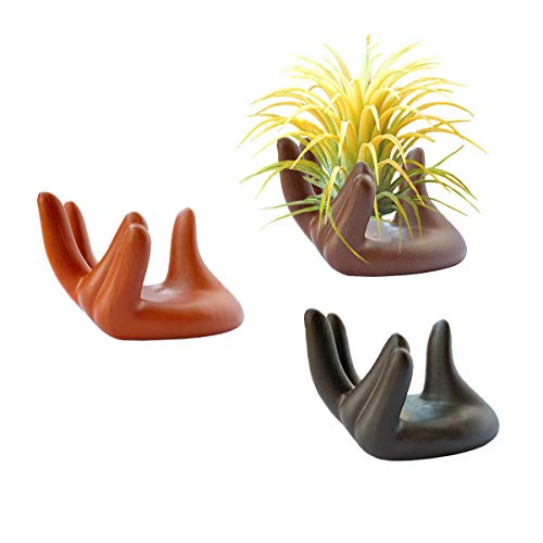 HH-LIFE 3 Stück Ton-Hände Air Plant Ständer Halter Luftpflanzen Handhalter Luftpflanzenständer Topf Hand Form Tillandsia Airplant Container Topf Tabletop Pflanze Display Hand Racks(rot/schwarz/braun) von HH-LIFE