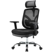 HHG - neuwertig] sihoo Bürostuhl Schreibtischstuhl, ergonomisch, verstellbare Lordosenstütze und Armlehne schwarz - black von HHG