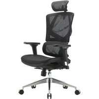 HHG - neuwertig] Bürostuhl 924, Schreibtischstuhl ergonomisch, Lordosenstütze hohe Rückenlehne 3D-Armlehnen Mesh schwarz - black von HHG