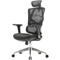 HHG - neuwertig] sihoo Bürostuhl Schreibtischstuhl ergonomisch, Lordosenstütze hohe Rückenlehne 3D-Armlehnen gepolstert schwarz - black von HHG