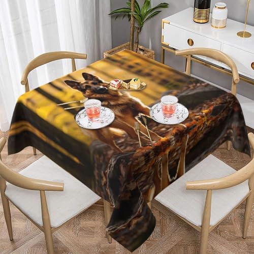 HHGFASD Quadratische Tischdecke, Stehendes Schäferhund-Muster, 152,4 x 152,4 cm, wasserdicht, knitterfrei, wiederverwendbar, für Cafés, Buffet, Picknicks, Hochzeiten, Partys HHGFASD Quadratische Tischdecke, Stehendes Schäferhund-Muster, 152,4 x 152,4 cm, wasserdicht, knitterfrei, wiederverwendbar, für Cafés, Buffet, Picknicks, Hochzeiten, Partys von HHGFASD