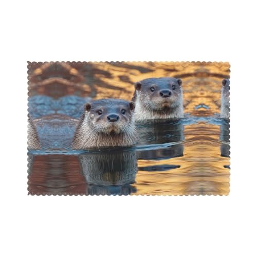Tischsets für den Esstisch, 30,5 x 45,7 cm, HHGFASD Otter im See, helles Muster für Hotel, Familienbankett, 6 Stück von HHGFASD