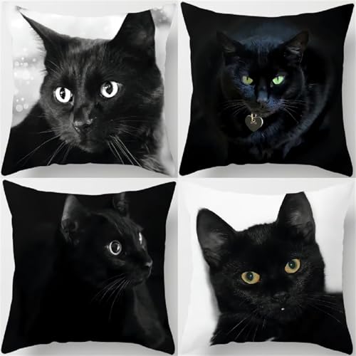 HHQGOUYG WKissenbezug Schwarze Katze 4er Set 40x40cm Dekorative Outdoor Kissen Wasserfest Atmungsaktiv Frühling Kissenbezüge Gartendeko für Draußen Bauernhaus Balkon Terrasse Patio Sofakissen Y-3 von HHQGOUYG