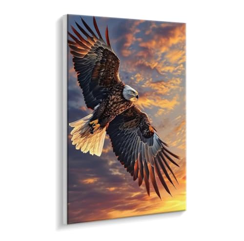 Malen Nach Zahlen Erwachsene, Adler Himmel Paint by Numbers Malen Nach Zahlen, DIY mit Pinseln und Acrylfarben Handgemalt Ölgemälde für Geschenke und Wand Dekoratio, Ohne Rahmen 60 x 80 cm R-811 Malen Nach Zahlen Erwachsene, Adler Himmel Paint by Numbers Malen Nach Zahlen, DIY mit Pinseln und Acrylfarben Handgemalt Ölgemälde für Geschenke und Wand Dekoratio, Ohne Rahmen 60 x 80 cm R-811 von HHQGOUYG