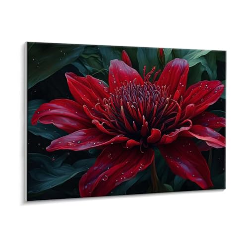 Malen Nach Zahlen Erwachsene - DIY Blumen Rot Handgemalt Ölgemälde Kit für Anfänger, Mit 3 - Pinseln und Acrylfarbe Handgemalt öLgemäLde Kit Als Geschenk Heimdekoration 35 x 50 cm (Rahmenlos) t-385 von HHQGOUYG
