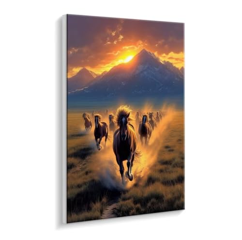 Malen Nach Zahlen Erwachsene - DIY Pferde Pferde Handgemalt Ölgemälde Kit für Anfänger, Mit 3 - Pinseln und Acrylfarbe Handgemalt öLgemäLde Kit Als Geschenk Heimdekoration 50 x 70 cm (Rahmenlos) t-115 von HHQGOUYG