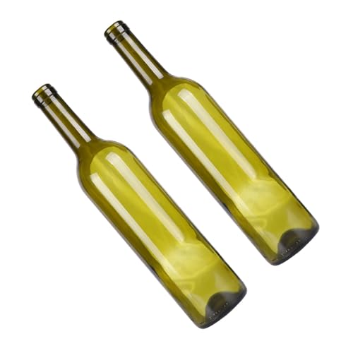 HIAKDOFT 2 Stück Glasvase Grün Glasflasche als Pflanzenhalter und Obstschale Bruchsicheres Dekor für Tisch und Büro Vielseitig für Sukkulenten und Salate Rustikaler Landhausstil von HIAKDOFT