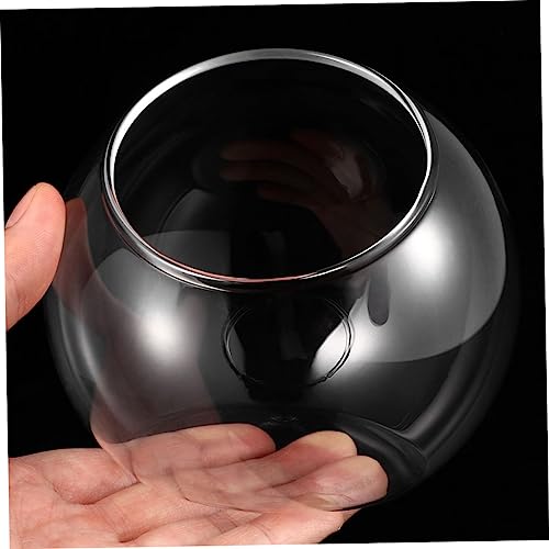 HIAKDOFT 3 Stück Teiliges Glas Transparent Glatte Oberfläche Mini Landschaft Pflanzflaschen für Sukkulenten und Luftpflanzen Dekorative Tischpflanzen Flaschen HIAKDOFT 3 Stück Teiliges Glas Transparent Glatte Oberfläche Mini Landschaft Pflanzflaschen für Sukkulenten und Luftpflanzen Dekorative Tischpflanzen Flaschen von HIAKDOFT