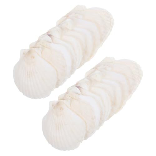 HIAKDOFT 35 Stück Shell Decoration Set Leere Muscheln Aquarium Muscheln Dekoration natürliche Muschelschalen Muschelhandwerk Hülse Weiß von HIAKDOFT