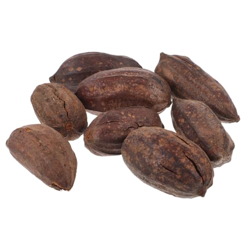 HIAKDOFT 8 Stück Teiliges Getrocknete Früchte Papageienspielzeug Natürlicher Kau Beschäftigungsspielzeug für Wellensittiche und Kleine Vögel Gesundes Vogelspielzeug zur Käfigbereicherung HIAKDOFT 8 Stück Teiliges Getrocknete Früchte Papageienspielzeug Natürlicher Kau Beschäftigungsspielzeug für Wellensittiche und Kleine Vögel Gesundes Vogelspielzeug zur Käfigbereicherung von HIAKDOFT