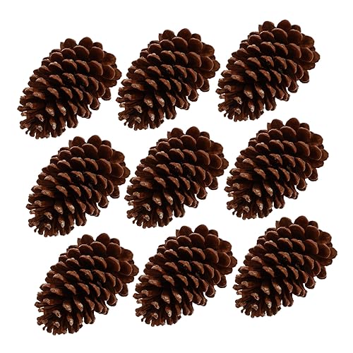 HIAKDOFT 9 Stück Teiliges Große Natürliche Getrocknete Kiefernzapfen für DIY Dekoration Basteln Wohnraum Büro Party Hochzeit Fotorequisiten Natürliches Zapfenmaterial von HIAKDOFT