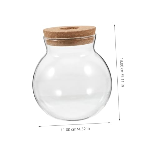 HIAKDOFT Hydroponische Glasflasche Rund mit Korkverschluss Multifunktionales DIY Terrarium für Pflanzen Moos Grünpflanzen Luftpflanzen Dekoratives Platzsparendes Pflanzgefäß für Zuhause HIAKDOFT Hydroponische Glasflasche Rund mit Korkverschluss Multifunktionales DIY Terrarium für Pflanzen Moos Grünpflanzen Luftpflanzen Dekoratives Platzsparendes Pflanzgefäß für Zuhause von HIAKDOFT