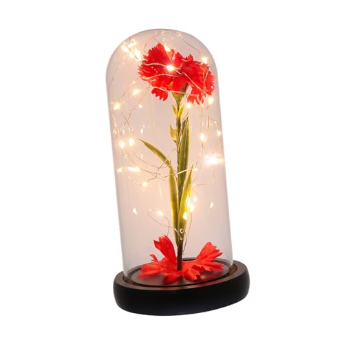 HIAKDOFT Leuchtende Rote Nelkenblume mit Glasdom und Holzsockel Warmes LED Licht Dekorative Blumendekoration für Muttertag Geburtstag und Besondere Anlässe von HIAKDOFT