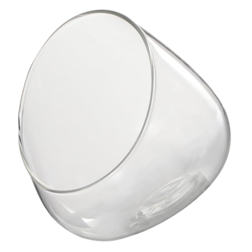 HIAKDOFT Multifunktionales Glas Terrarium Flasche Schrägschnitt Mikro ökosystem Dekoflasche für Pflanzen Deko Wohnzimmer Küche Langlebig Transparent von HIAKDOFT