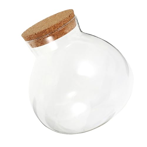 HIAKDOFT Ökologische Mikrolandschaftsflasche saftiges Terrarium Rundes Terrarium Desktop-Mikrolandschaftsflasche mit Deckel Moos-Landschaftsbauflasche Knospenvase Glas Transparent HIAKDOFT Ökologische Mikrolandschaftsflasche saftiges Terrarium Rundes Terrarium Desktop-Mikrolandschaftsflasche mit Deckel Moos-Landschaftsbauflasche Knospenvase Glas Transparent von HIAKDOFT