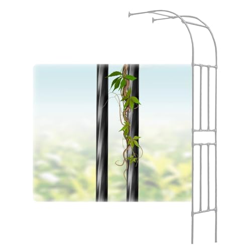 Halber Gartenbogen aus Metall, Halber Gartenbogen, Metall-Spalier, Stützgestell, Weiß/Schwarz, mehrere Größen, 20 mm Rohrdurchmesser(White,W90 x H240 cm) von HIFRQVVC