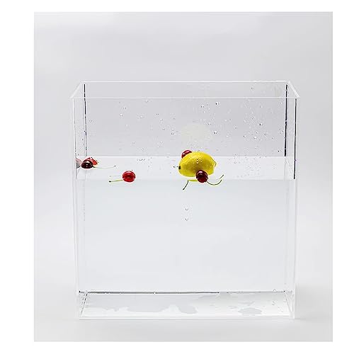 Serviertablett aus Acryl, Acryl-Foto-Posing-Requisiten, Shooting-Wassertank, Multifunktions-Vitrine, 4 mm dick, 30 x (10–30) x 20 cm, mehrere Größen(30x10x20cm(11.8x3.9x7.9in)) von HIFRQVVC