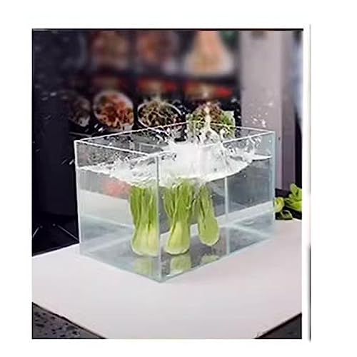 Serviertablett aus Acryl, Acryl Fotografie Schießen Tank Display Fall Transparent Wasser Tank 4mm Dicken Mehrere Größen(40x10x20cm(15.7x3.9x7.9in)) von HIFRQVVC