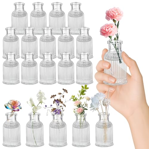 HIGA-JKL 20Stück Transparent Mini Glasvase 50ml Kleine Vasen für Tischdeko Vintage Glasvasen Hochzeitsdeko Vasen Deko für Tischdeko Zuhause Hochzeiten Tafelaufsätze Wohnzimmer Geburtstage Feste von HIGA-JKL