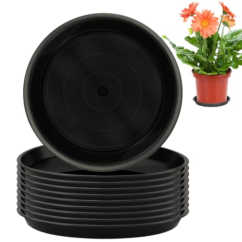 10 Stück 15 cm Blumentopf Untersetzer aus Kunststoff, Blumenuntersetzer Rund Plastik Pflanztopf Pflanzen Untersetzer für Pflanzkübel Blumenkübel Tablett Pflanzen,für Innen und Außenpflanzen Schwarz von HIKPACKER