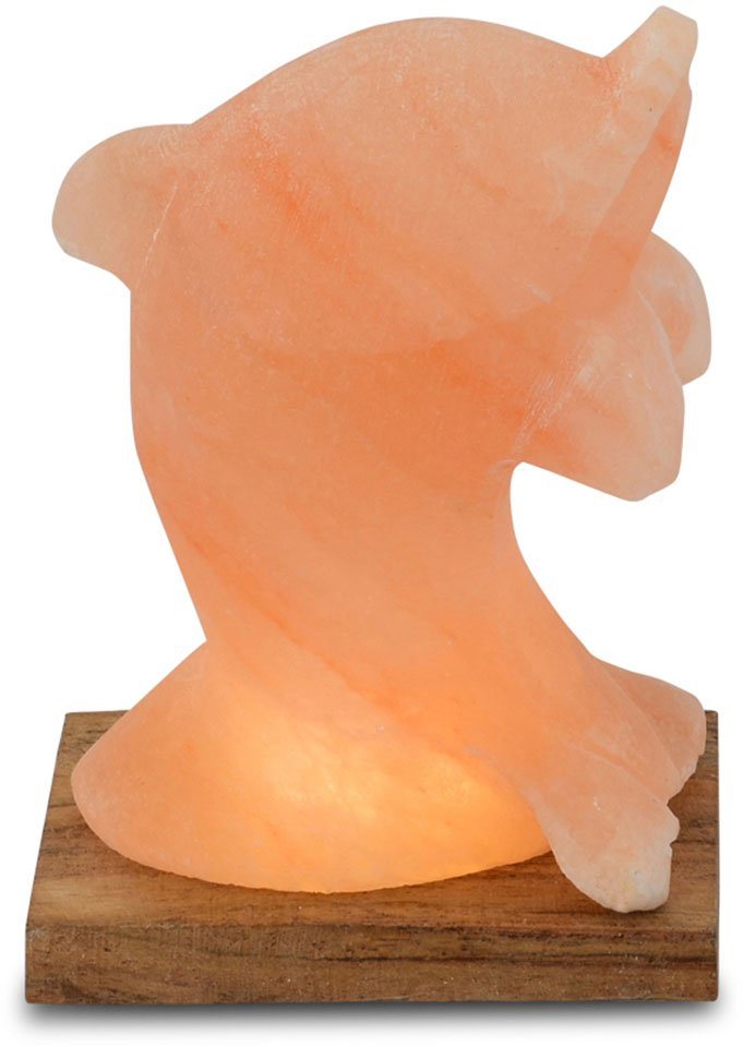 HIMALAYA SALT DREAMS Salzkristall-Tischlampe Delfin, LED wechselbar, Warmweiß, Handgefertigt aus Salzkristall - jeder Stein ein Unikat, H: ca.15 cm von HIMALAYA SALT DREAMS