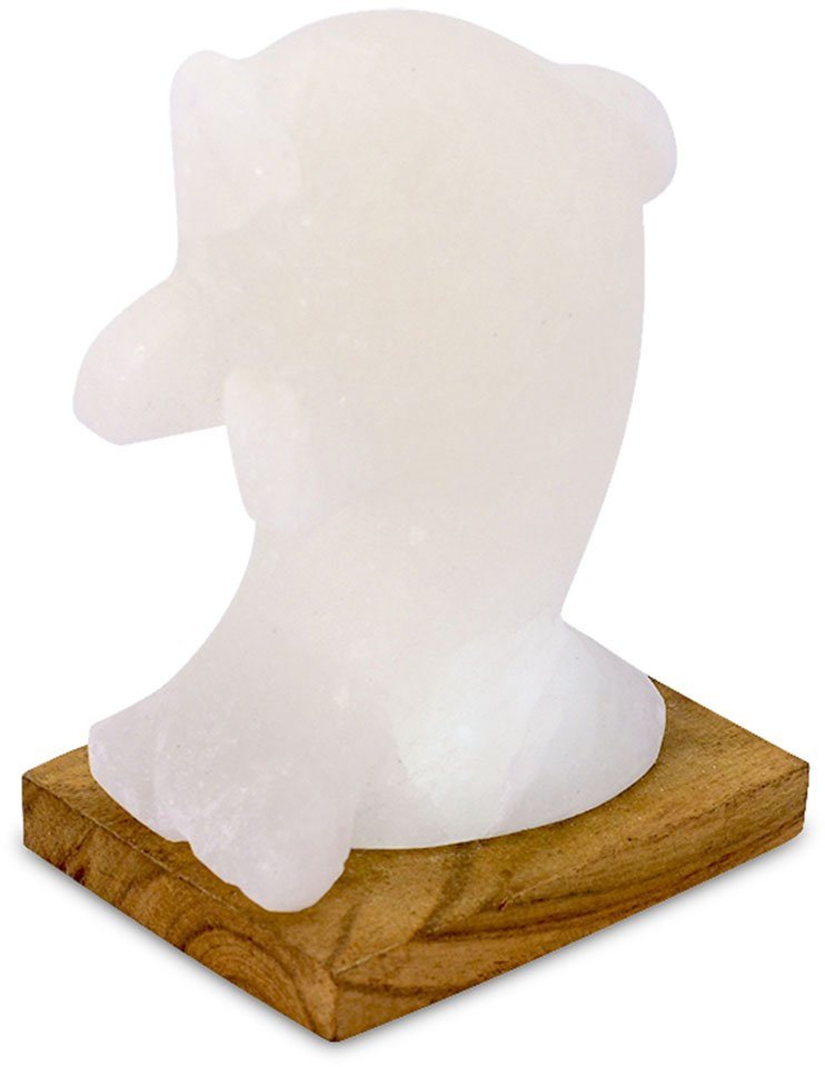 HIMALAYA SALT DREAMS Salzkristall-Tischlampe Delfin, LED wechselbar, Warmweiß, Handgefertigt aus Salzkristall - jeder Stein ein Unikat, H: ca.15 cm von HIMALAYA SALT DREAMS