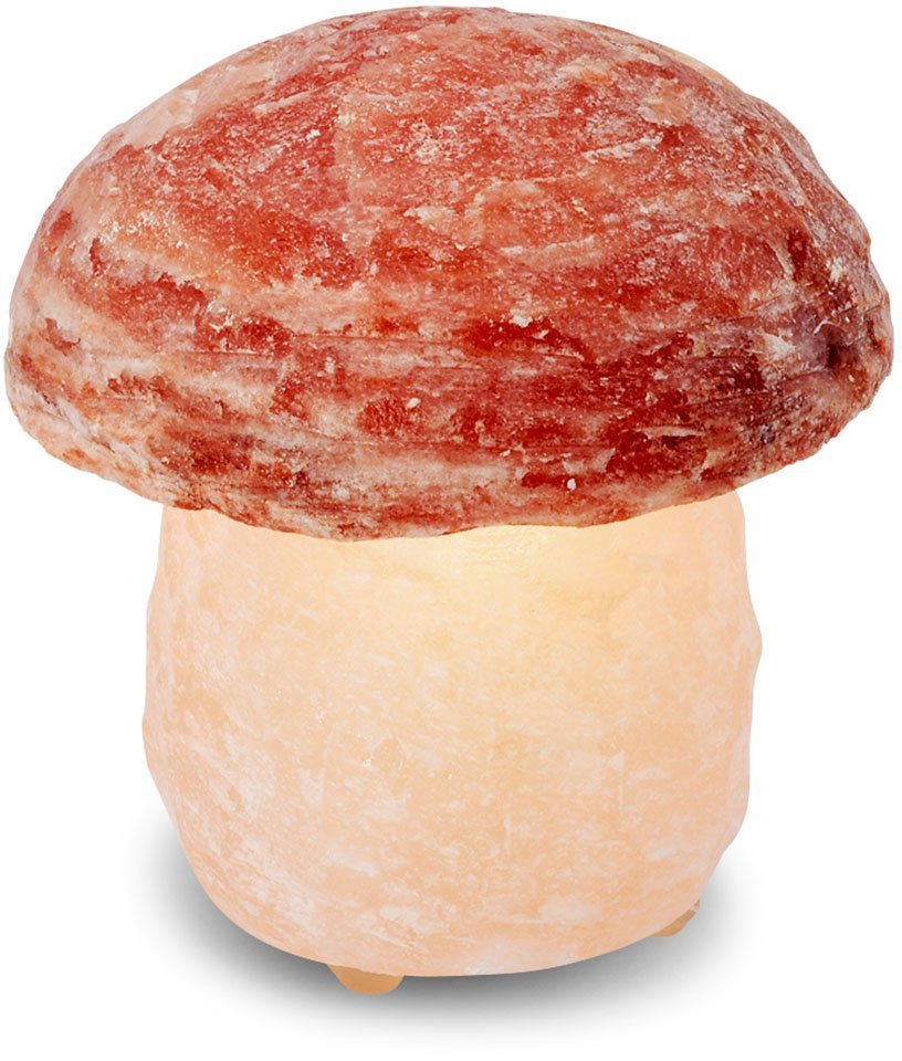 HIMALAYA SALT DREAMS Salzkristall-Tischlampe Pilz, Leuchtmittel wechselbar, Warmweiß, Handgefertigt aus Salzkristall - jeder Stein ein Unikat, H: ca.16 cm von HIMALAYA SALT DREAMS