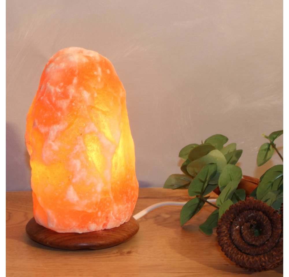 HIMALAYA SALT DREAMS Salzkristall-Tischlampe Rock, Leuchtmittel wechselbar, Warmweiß, Handgefertigt - jeder Stein ein Unikat, H: ca.18 cm, ca. 2-3kg von HIMALAYA SALT DREAMS