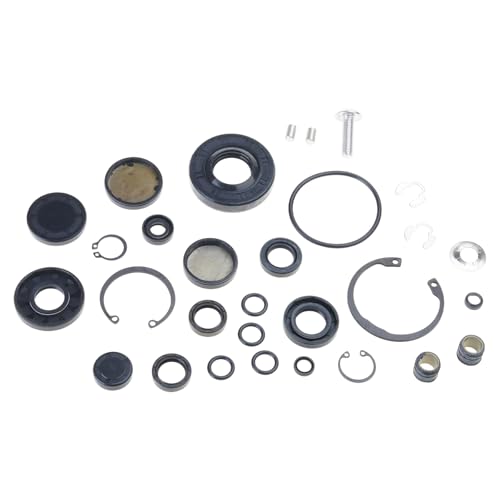 Professionelle Auto-Transaxle-Umbaudichtungs-Kits, geeignet für ZT-2800 ZT-3400 Ladungspumpen, Wartung, 30 Stück, 72994 Transaxles-Dichtung Ersatz von HINAYOSAN