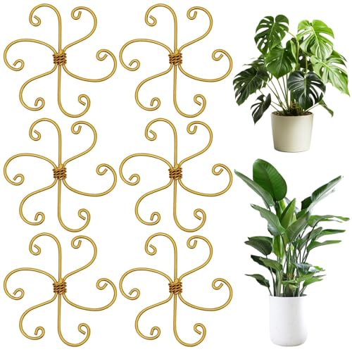 HINGTAI 6-teilige Pflanzenstammstütze, Pflanzenstützpfähle für Zimmerpflanzen, Pflanzenstützen Monstera-Pflanzenstammstütze,für Kletterpflanzen Stabilisierung und Unterstützung von HINGTAI
