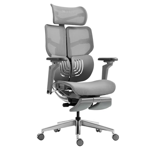HINOMI X1 Ergonomischer Bürostuhl mit 3D-Kopfstütze mit Fußstütze, Bürostuhl Ergonomisch, Verstellbarer Schreibtischstuhl für Home Office, Ergonomischer Stuhl für Büro(Grau,Überhöhe) von HINOMI