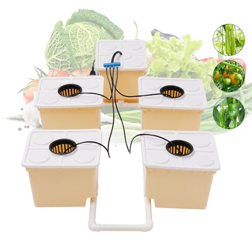 HINOPY 11L Hydrokultur Grow System Kit, 5 Eimer Hydroponics Garden Hydroponic Growing System Kit für Home Indoor Hydroponic Anzucht-System von HINOPY