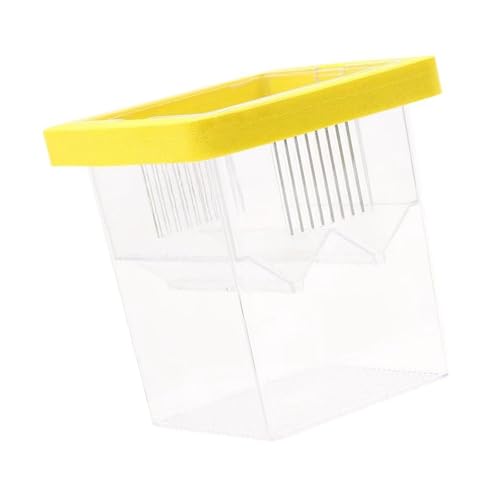 HIOPOIUYT Aquarium Breeder Box Für Fischzüchtung Inkubator Fisch Brüterei Fisch Laichbox Trennung Tanks Wasserqualität Wartung Brutbewegung HIOPOIUYT Aquarium Breeder Box Für Fischzüchtung Inkubator Fisch Brüterei Fisch Laichbox Trennung Tanks Wasserqualität Wartung Brutbewegung von HIOPOIUYT