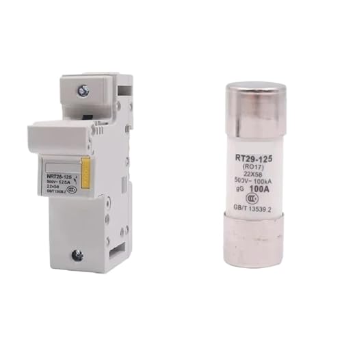 R017 22 * 58MM Sicherung Und Basis NRT28-125 1P 2P 80A 100A 125A Schiene Typ Keramik Sicherung RT29 RT29-125(125A) von HIOUNVIHC