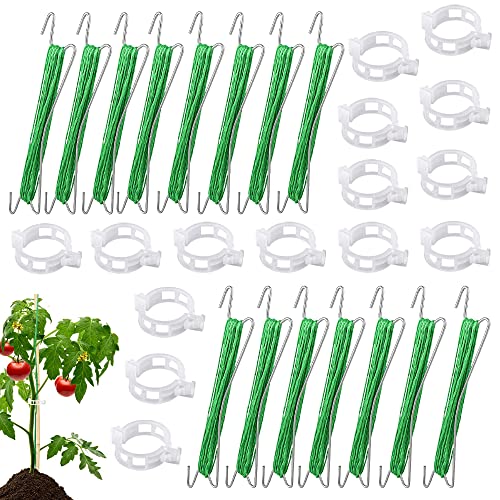 15 Stück Tomatenhaken Metall mit 15 Pflanzenschnalle & 10 m Seil,Tomatenpflanzenhalter, Garten Clips,Tomatenstützhaken,Geeignet zum Fixieren von Pflanzen (A) von HIQE-FL