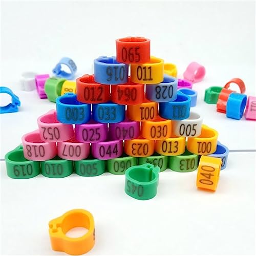 100 Stück Vogelringe Taubenringe Wachtelringe Hühnerringe Kunststoff Identifizierung Ring Geflügel Band Klemmringe zum Markierung für Vogel Papagei Taube Wachtel Küken 8 mm (Gelb) von HIQIU