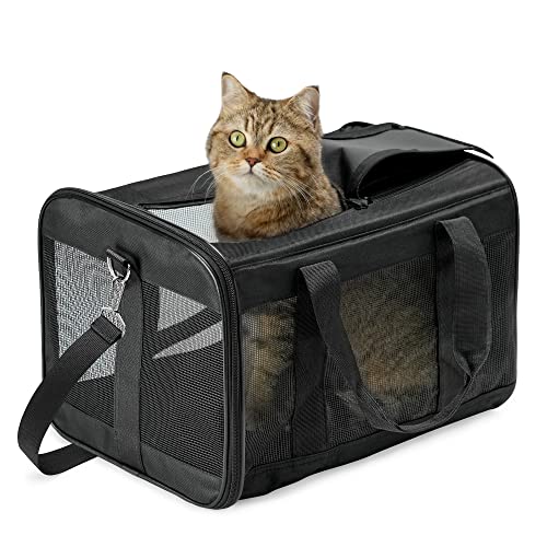 HITSLAM hundebox Faltbar Hundetransportbox Katzentransportbox Katzenbox Transportbox katzentasche für Hund, Katzen, Airline Zugelassen, Reisefreundliche Transporttasche (M) von HITSLAM