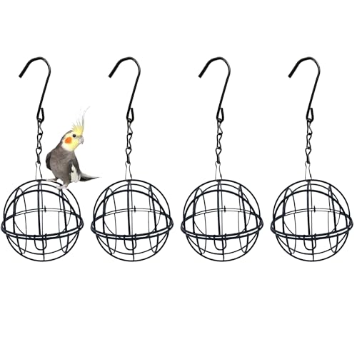 HIXNUG Meisenknödel-Futterspender Schwarz Hängende Vogelfutterstation Metall Meisenknödel Vogelhalter Kugelkäfig mit Kettenhaken Futterhalter Meisenknödel für Outdoor Garten Wildtiere Vögel Finken von HIXNUG