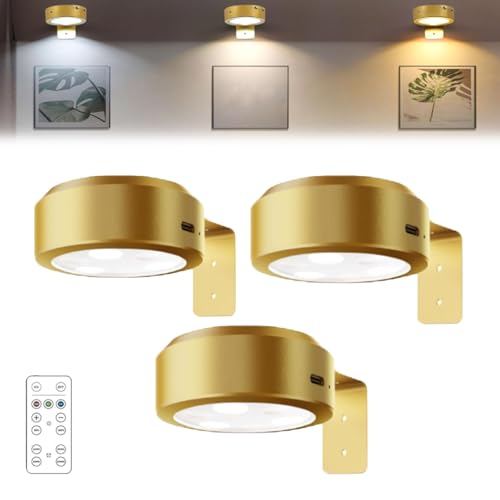 Magnetic Painting Light, Magnetic Painting Light with 13 Lighting Modes, Magnetic Picture Lights for Wall No Drill, LED Rechargeable Wireless Art Picture Frame Lights (Gold, 3pcs) von HItianya