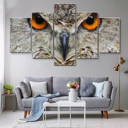 HJDGLP Moderne bilder wohnzimmer schlafzimmer bilder über bett wand deko leinwandbilder leinwanddrucke 5 stück wandkunst,Eulenadlergesicht,mit rahmen,wandbild xxl 100x55cm HJDGLP Moderne bilder wohnzimmer schlafzimmer bilder über bett wand deko leinwandbilder leinwanddrucke 5 stück wandkunst,Eulenadlergesicht,mit rahmen,wandbild xxl 100x55cm von HJDGLP