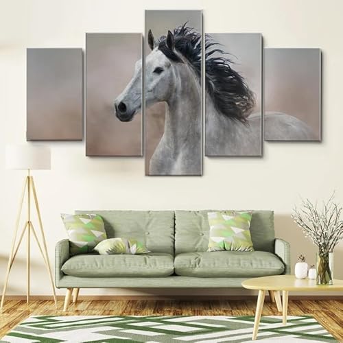 HJDGLP Moderne bilder wohnzimmer schlafzimmer bilder über bett wand deko leinwandbilder leinwanddrucke 5 stück wandkunst,Graues Pferd auf Wüstenstaub,mit rahmen,wandbild xxl 100x55cm HJDGLP Moderne bilder wohnzimmer schlafzimmer bilder über bett wand deko leinwandbilder leinwanddrucke 5 stück wandkunst,Graues Pferd auf Wüstenstaub,mit rahmen,wandbild xxl 100x55cm von HJDGLP