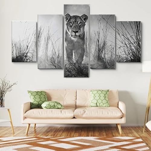 HJDGLP Moderne bilder wohnzimmer schlafzimmer bilder über bett wand deko leinwandbilder leinwanddrucke 5 stück wandkunst,Löwin in Schwarz und Weiß,mit rahmen,wandbild xxl 100x55cm HJDGLP Moderne bilder wohnzimmer schlafzimmer bilder über bett wand deko leinwandbilder leinwanddrucke 5 stück wandkunst,Löwin in Schwarz und Weiß,mit rahmen,wandbild xxl 100x55cm von HJDGLP
