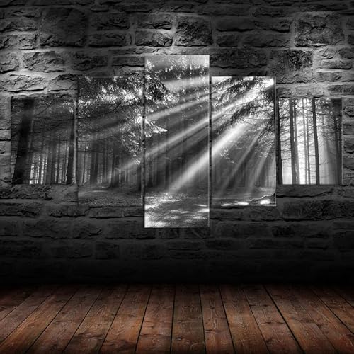 HJDGLP Moderne bilder wohnzimmer schlafzimmer bilder über bett wand deko leinwandbilder leinwanddrucke 5 stück wandkunst,Wald Sonnenstrahlen Sonnenschein Landschaft,mit rahmen,wandbild xxl 100x55cm HJDGLP Moderne bilder wohnzimmer schlafzimmer bilder über bett wand deko leinwandbilder leinwanddrucke 5 stück wandkunst,Wald Sonnenstrahlen Sonnenschein Landschaft,mit rahmen,wandbild xxl 100x55cm von HJDGLP