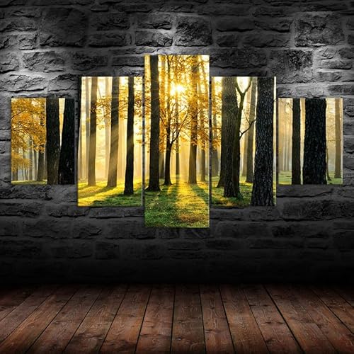 HJDGLP Moderne bilder wohnzimmer schlafzimmer bilder über bett wand deko leinwandbilder leinwanddrucke 5 stück wandkunst,Waldbäume,die Sonne scheinen,Szene,mit rahmen,wandbild xxl 100x55cm HJDGLP Moderne bilder wohnzimmer schlafzimmer bilder über bett wand deko leinwandbilder leinwanddrucke 5 stück wandkunst,Waldbäume,die Sonne scheinen,Szene,mit rahmen,wandbild xxl 100x55cm von HJDGLP