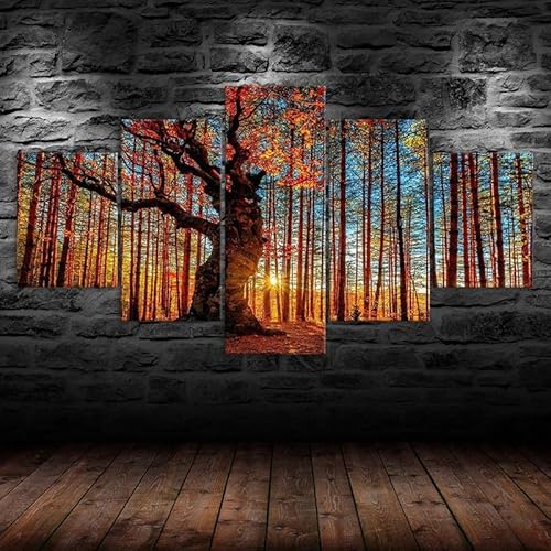 HJDGLP Moderne bilder wohnzimmer schlafzimmer bilder über bett wand deko leinwandbilder leinwanddrucke 5 stück wandkunst,Waldbaum-Sonnenuntergangsszene,mit rahmen,wandbild xxl 100x55cm HJDGLP Moderne bilder wohnzimmer schlafzimmer bilder über bett wand deko leinwandbilder leinwanddrucke 5 stück wandkunst,Waldbaum-Sonnenuntergangsszene,mit rahmen,wandbild xxl 100x55cm von HJDGLP