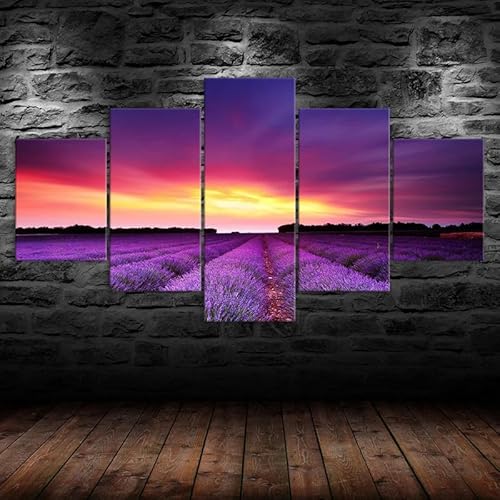 HJDGLP Wandbild xxl bilder leinwand groß,the wall wanddeko wohnzimmer schlafzimmer home decoration,5 Teilig bild auf leinwand poster set Lavendelfelder Sonnenuntergang Leinwand 200x100cm HJDGLP Wandbild xxl bilder leinwand groß,the wall wanddeko wohnzimmer schlafzimmer home decoration,5 Teilig bild auf leinwand poster set Lavendelfelder Sonnenuntergang Leinwand 200x100cm von HJDGLP